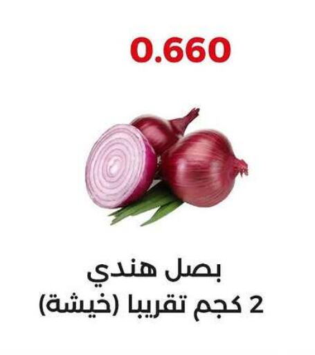 Onion available at  Adailiya Cooperative Society in Kuwait - Jahra Governorate