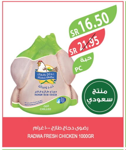 Fresh Whole Chicken available at Farm  in KSA, Saudi Arabia, Saudi - Al Bahah