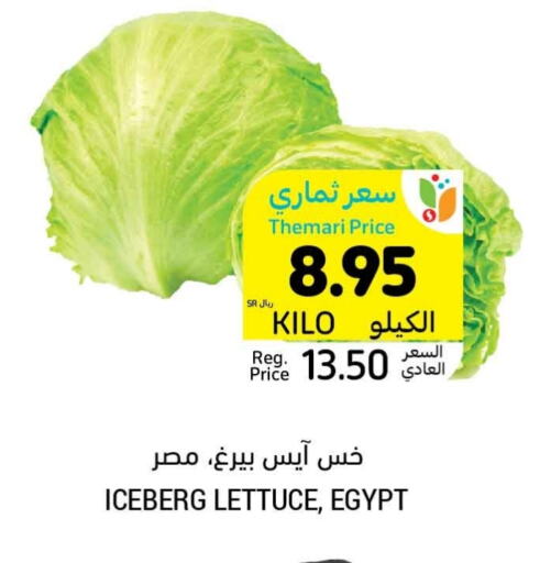 Lettuce from Egypt available at Tamimi Market in KSA, Saudi Arabia, Saudi - Unayzah