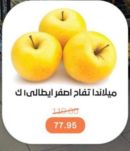 تفاح available at بيت الجملة in Egypt - القاهرة