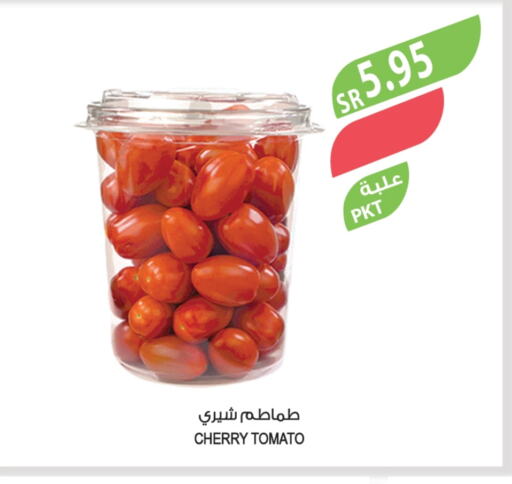 Tomato available at Farm  in KSA, Saudi Arabia, Saudi - Al Bahah