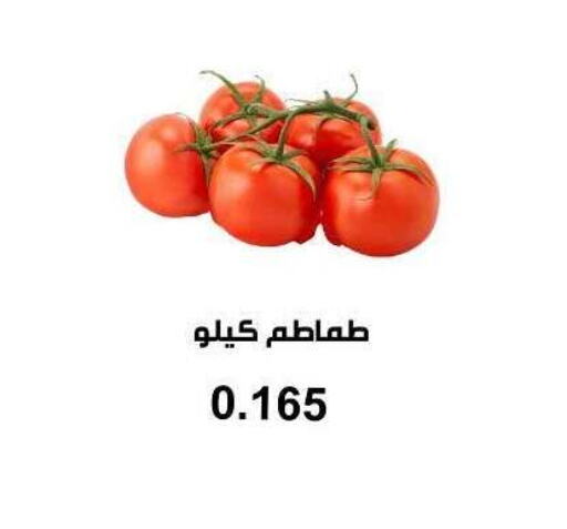 Tomato available at Abu Fatira Coop  in Kuwait - Kuwait City