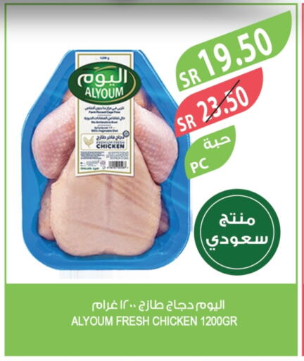 Fresh Whole Chicken available at Farm  in KSA, Saudi Arabia, Saudi - Al Bahah