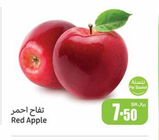 Apple available at أسواق عبد الله العثيم in مملكة العربية السعودية, السعودية, سعودية - الرس