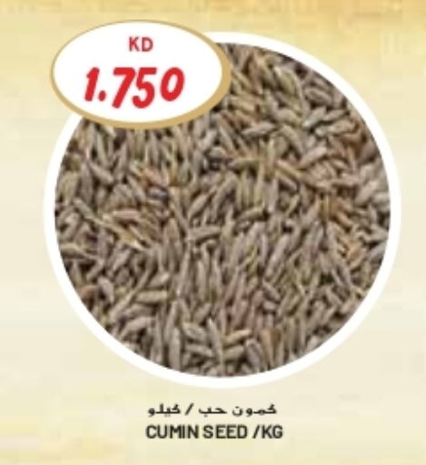 Cumin available at جراند كوستو in الكويت - محافظة الأحمدي