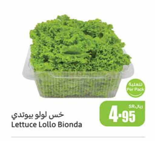 Lettuce available at أسواق عبد الله العثيم in مملكة العربية السعودية, السعودية, سعودية - الرياض