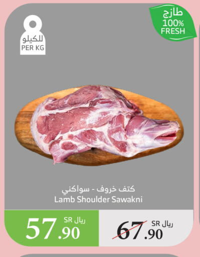 لحم الضأن / الغنم available at الراية in مملكة العربية السعودية, السعودية, سعودية - القنفذة