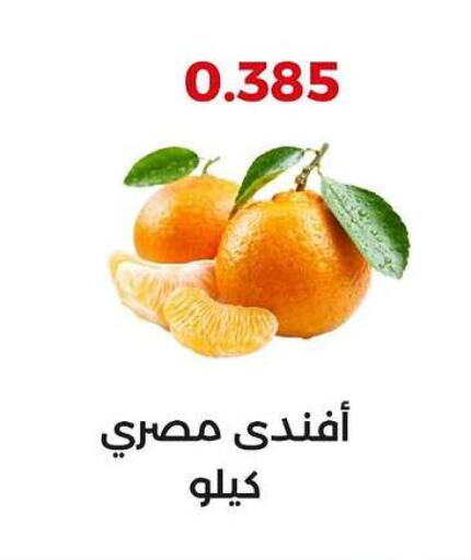 برتقال available at جمعية العديلة التعاونية in الكويت - مدينة الكويت