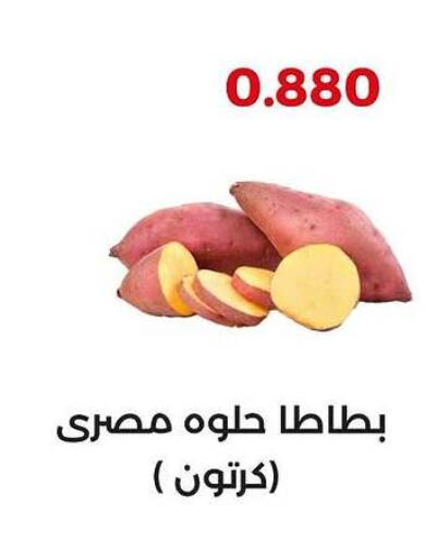 Sweet Potato available at  Adailiya Cooperative Society in Kuwait - Jahra Governorate