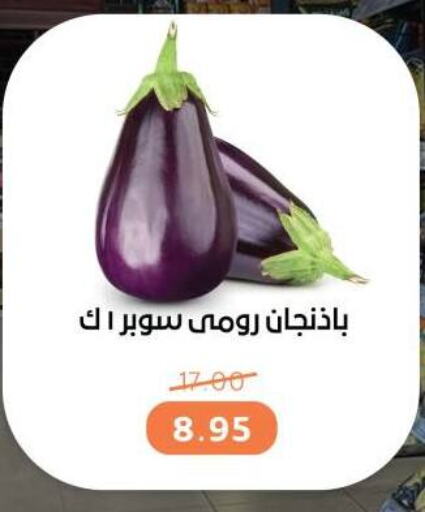 available at بيت الجملة in Egypt - القاهرة