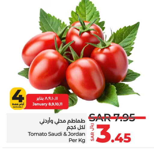 طماطم from Saudi Arabia Jordan available at لولو هايبرماركت in مملكة العربية السعودية, السعودية, سعودية - الجبيل‎