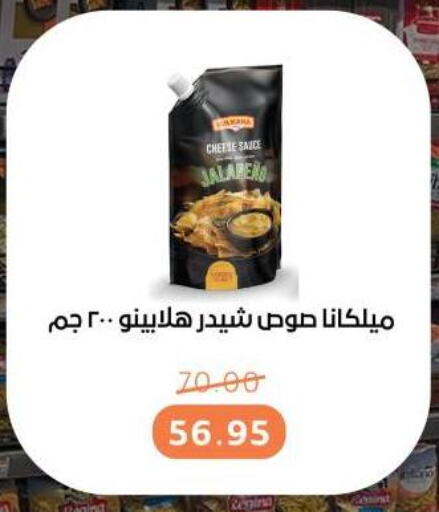 صوصات أخرى available at بيت الجملة in Egypt - القاهرة