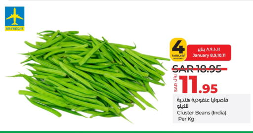 Beans from India available at LULU Hypermarket in KSA, Saudi Arabia, Saudi - Riyadh