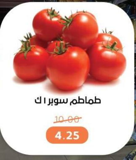 Tomato available at Beit El Gomla in Egypt - Cairo