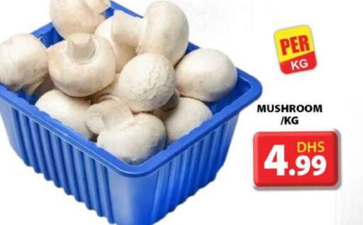 Mushroom available at Grand Hyper Market in UAE - Dubai