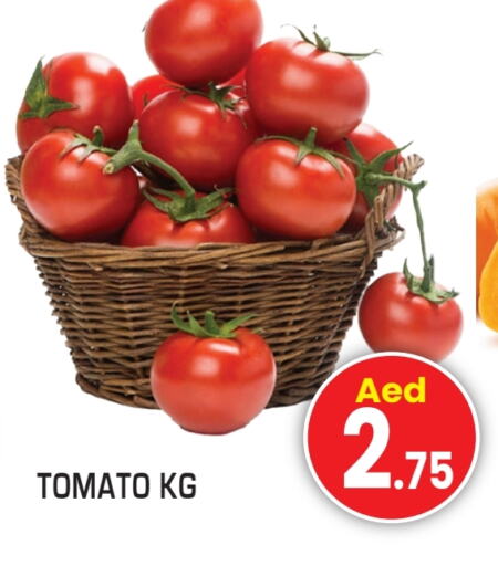 Tomato available at Fresh Spike Supermarket in UAE - Dubai