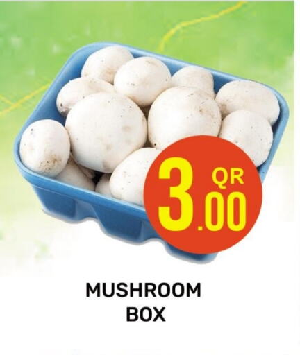 Mushroom available at Majlis Hypermarket in Qatar - Al Rayyan