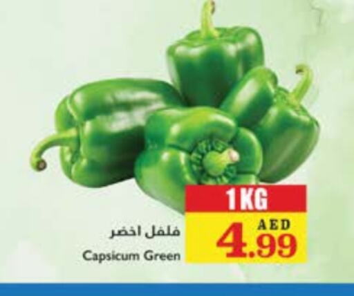 Chilli / Capsicum available at Trolleys Supermarket in UAE - Sharjah / Ajman