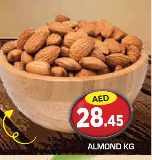 available at سنابل بني ياس in الإمارات العربية المتحدة , الامارات - أبو ظبي