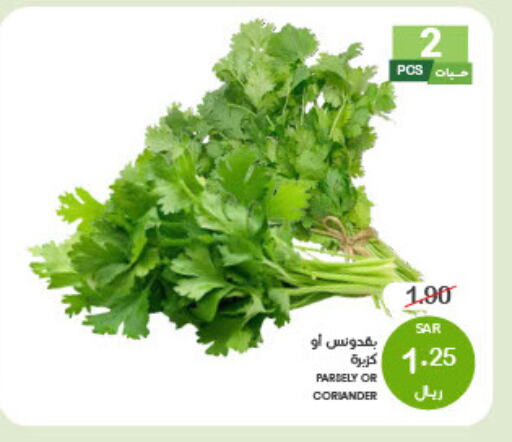 Coriander available at  مـزايــا in مملكة العربية السعودية, السعودية, سعودية - القطيف‎