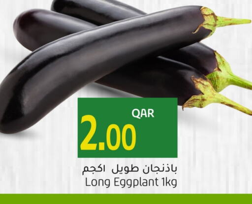 Eggplant available at Gulf Food Center in Qatar - Al Wakra