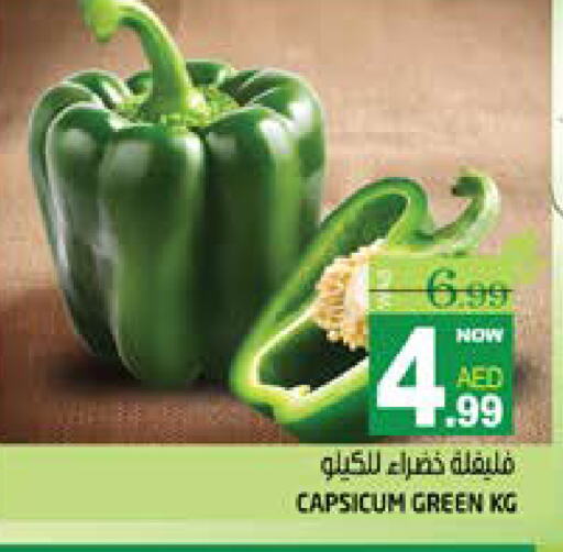 Chilli / Capsicum available at Hashim Hypermarket in UAE - Sharjah / Ajman