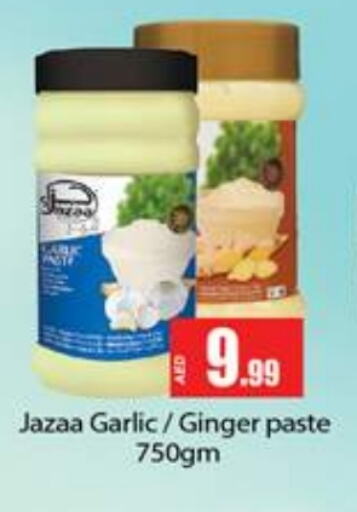 Garlic Paste available at Gulf Hypermarket LLC in UAE - Ras al Khaimah