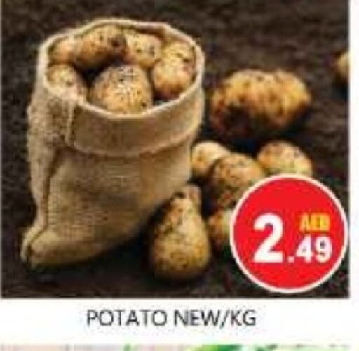 Potato available at Souk Al Mubarak Hypermarket in UAE - Sharjah / Ajman