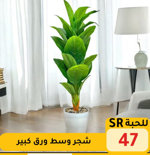 available at تخفيضات العائلة in مملكة العربية السعودية, السعودية, سعودية - الرياض