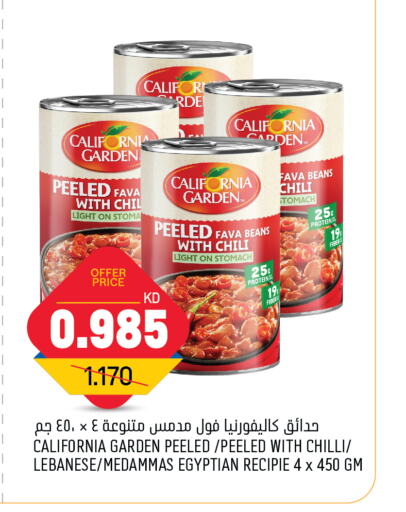 CALIFORNIA GARDEN Fava Beans available at Oncost in Kuwait - Kuwait City