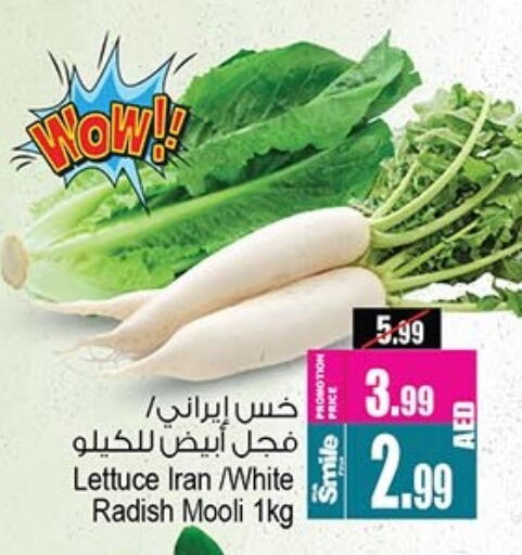 Lettuce Radish from Iran available at Ansar Gallery in UAE - Dubai