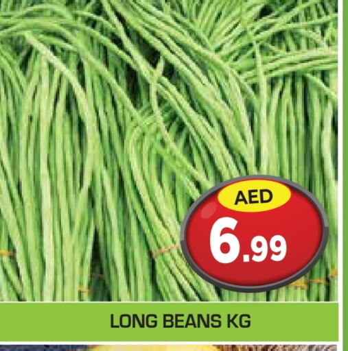 Beans available at Baniyas Spike  in UAE - Abu Dhabi