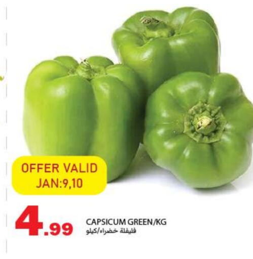 Chilli / Capsicum available at Rawabi Market Ajman in UAE - Sharjah / Ajman