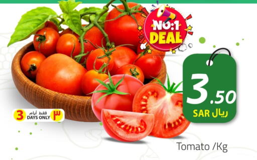 Tomato available at We One Shopping Center in KSA, Saudi Arabia, Saudi - Dammam