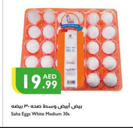 available at إسطنبول سوبرماركت in الإمارات العربية المتحدة , الامارات - أبو ظبي