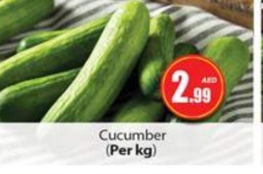 Cucumber available at Gulf Hypermarket LLC in UAE - Ras al Khaimah