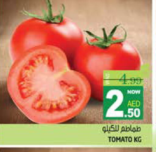 Tomato available at Hashim Hypermarket in UAE - Sharjah / Ajman