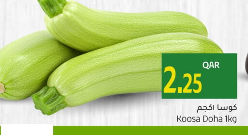 Zucchini from Qatar available at Gulf Food Center in Qatar - Umm Salal