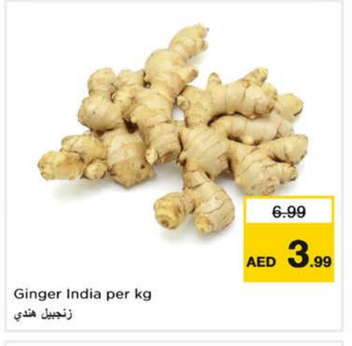 Ginger from India available at نستو هايبرماركت in الإمارات العربية المتحدة , الامارات - الشارقة / عجمان