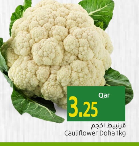 Cauliflower from Qatar available at Gulf Food Center in Qatar - Umm Salal