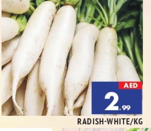 فجل available at المدينة in الإمارات العربية المتحدة , الامارات - الشارقة / عجمان