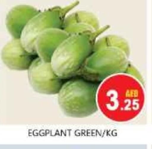 Eggplant available at سوق المبارك هايبرماركت in الإمارات العربية المتحدة , الامارات - الشارقة / عجمان