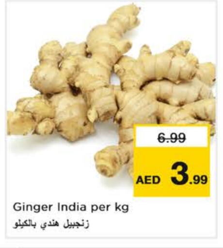 Ginger from India available at نستو هايبرماركت in الإمارات العربية المتحدة , الامارات - أبو ظبي