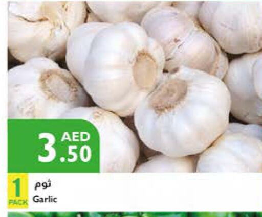 Garlic available at Istanbul Supermarket in UAE - Sharjah / Ajman