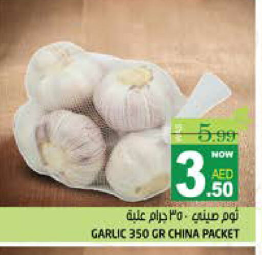 Garlic from China available at هاشم هايبرماركت in الإمارات العربية المتحدة , الامارات - الشارقة / عجمان