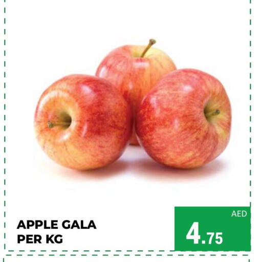 Apples available at Kerala Hypermarket in UAE - Ras al Khaimah