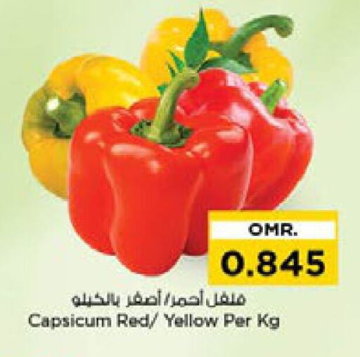 Capsicum available at Nesto Hyper Market   in Oman - Muscat