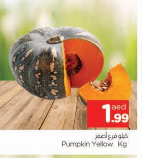 Pumpkin available at المدينة in الإمارات العربية المتحدة , الامارات - الشارقة / عجمان