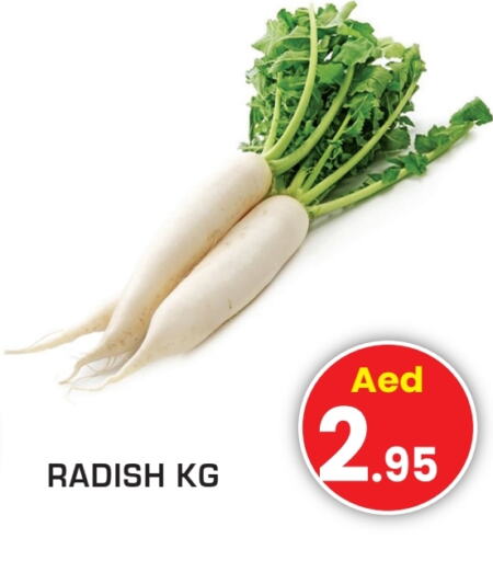 Radish available at Fresh Spike Supermarket in UAE - Dubai