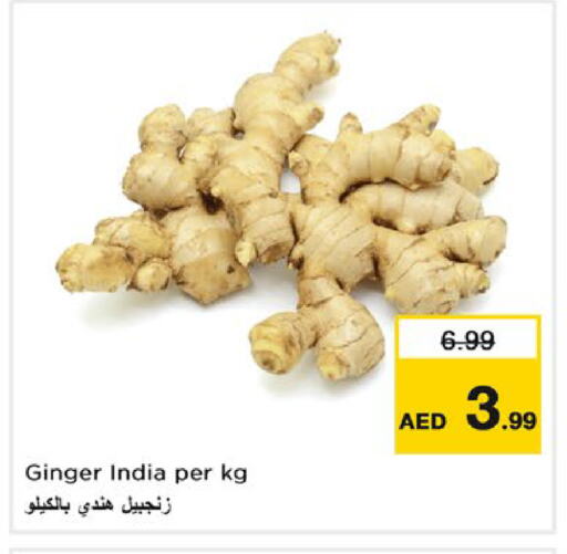 زنجبيل from India available at نستو هايبرماركت in الإمارات العربية المتحدة , الامارات - دبي